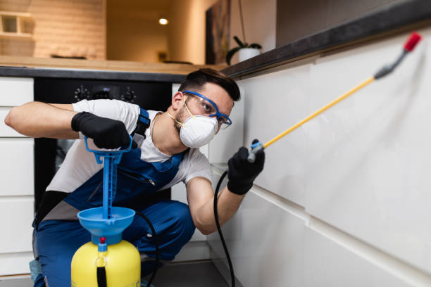 Reliable Gray Summit, MO Pest Control Solutions
