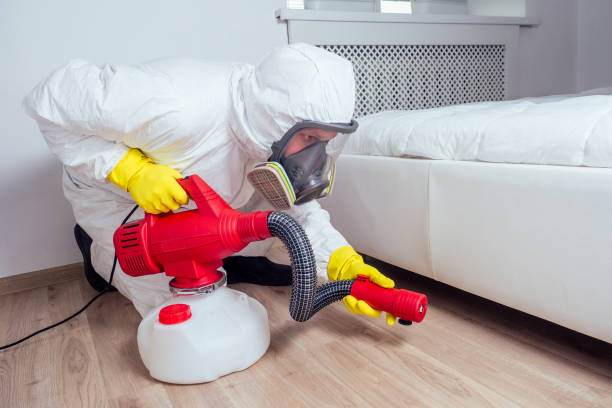 Wasp Removal Services in Gray Summit, MO