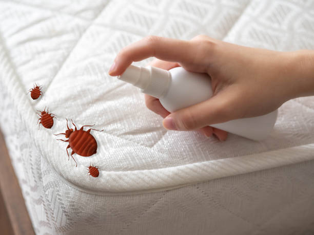 Pest Prevention Services in Gray Summit, MO